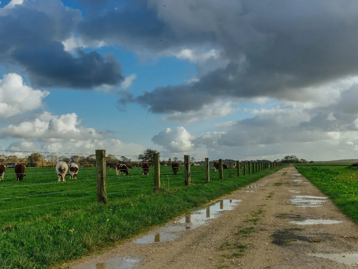 A completed farm roads project by THB Contractors