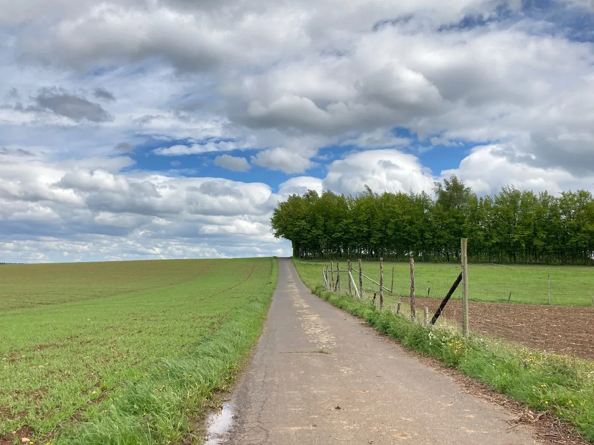 THB Contractors farm roads work in the North West